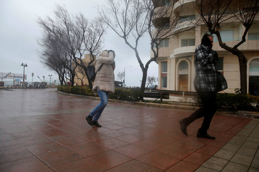 Un temporal de viento huracanado ha azotado Malta durante los últimos días. Las fuertes rachas de viento, que han llegado a los 100 km/hora, han destrozado estructuras, derribado árboles e incluso han provocado una inusual 'lluvia' de peces. Y es que, el viento desplazó multitud de ellos desde una piscifactoría que se encuentra en mitad del mar, concretamente en la bahía de San Pablo.