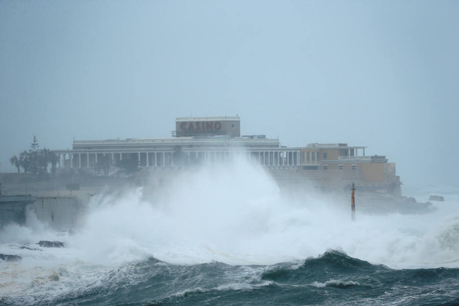 Un temporal de viento huracanado ha azotado Malta durante los últimos días. Las fuertes rachas de viento, que han llegado a los 100 km/hora, han destrozado estructuras, derribado árboles e incluso han provocado una inusual 'lluvia' de peces. Y es que, el viento desplazó multitud de ellos desde una piscifactoría que se encuentra en mitad del mar, concretamente en la bahía de San Pablo.