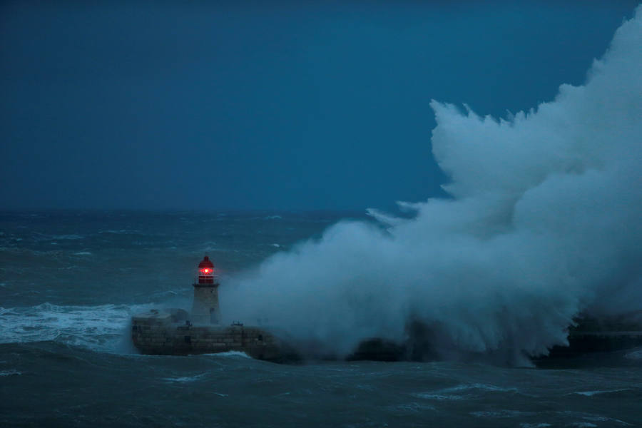 Un temporal de viento huracanado ha azotado Malta durante los últimos días. Las fuertes rachas de viento, que han llegado a los 100 km/hora, han destrozado estructuras, derribado árboles e incluso han provocado una inusual 'lluvia' de peces. Y es que, el viento desplazó multitud de ellos desde una piscifactoría que se encuentra en mitad del mar, concretamente en la bahía de San Pablo.