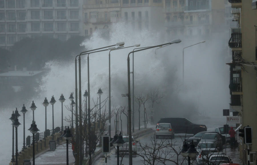 Un temporal de viento huracanado ha azotado Malta durante los últimos días. Las fuertes rachas de viento, que han llegado a los 100 km/hora, han destrozado estructuras, derribado árboles e incluso han provocado una inusual 'lluvia' de peces. Y es que, el viento desplazó multitud de ellos desde una piscifactoría que se encuentra en mitad del mar, concretamente en la bahía de San Pablo.