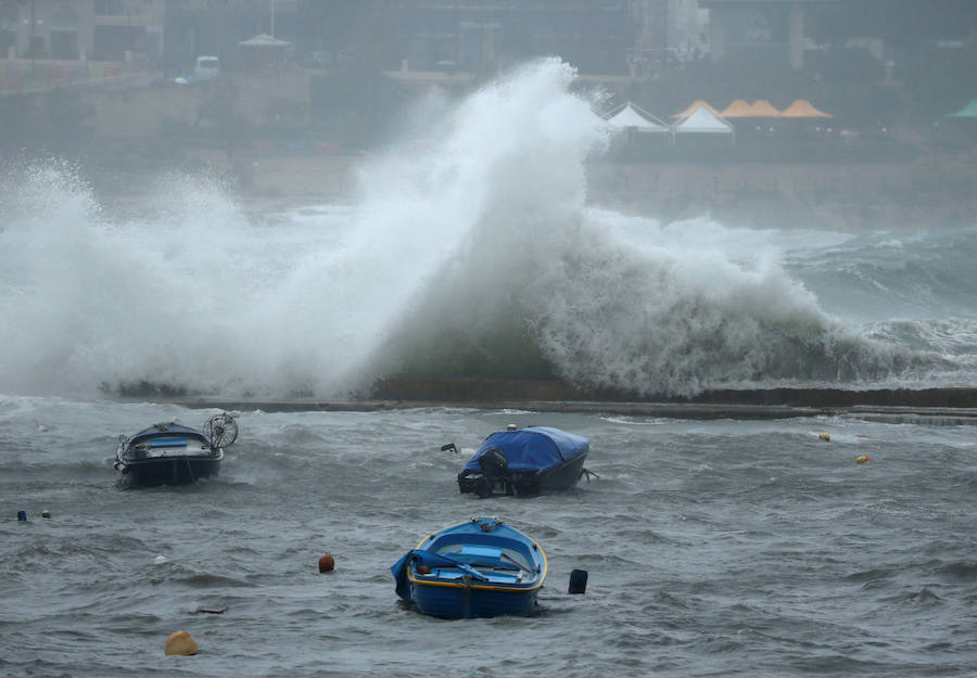 Un temporal de viento huracanado ha azotado Malta durante los últimos días. Las fuertes rachas de viento, que han llegado a los 100 km/hora, han destrozado estructuras, derribado árboles e incluso han provocado una inusual 'lluvia' de peces. Y es que, el viento desplazó multitud de ellos desde una piscifactoría que se encuentra en mitad del mar, concretamente en la bahía de San Pablo.