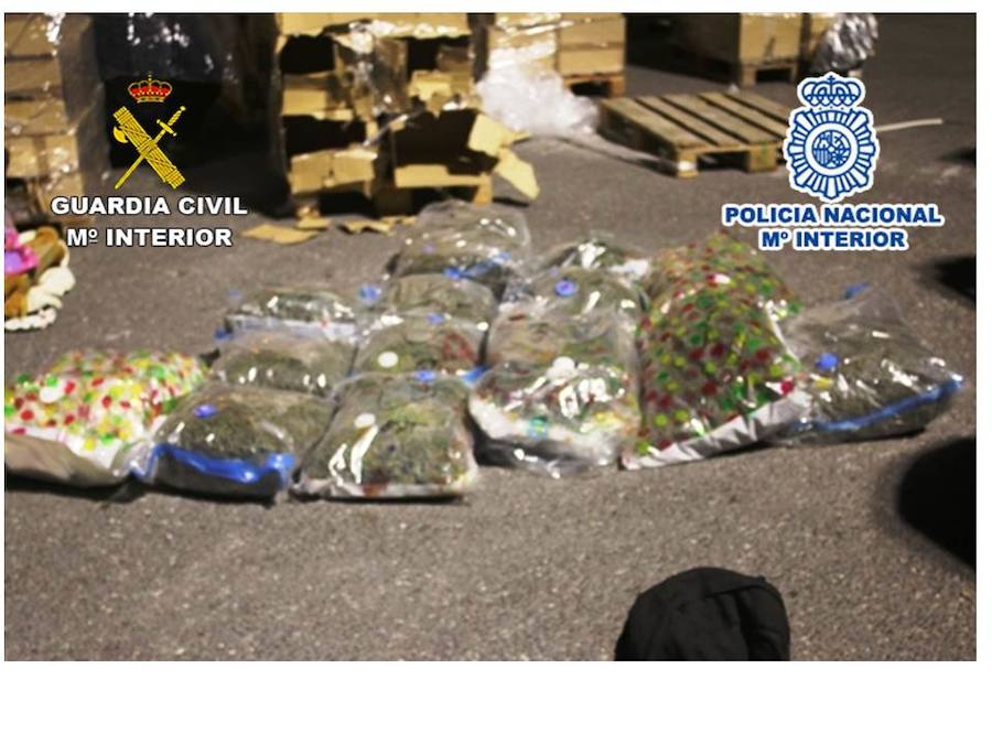 Fotos: Desarticuladas dos activas redes que enviaba marihuana de Alicante a Europa