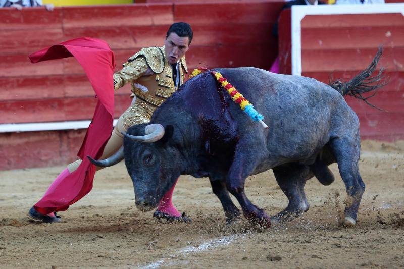 El segundo toro de la tarde de la  primera corrida de la Feria de Fallas de Valencia , llamado el Enterado, abrió el frasco de las emociones fuertes y en un plis plas atrapó de mala manera a Octavio Chacón y le hirió en la bolsa testicular, zona de tan mala prensa en la actualidad como imprescindible para bregar con los toros y hasta con la vida. Aguantó en el ruedo estoico y entero hasta rematar de un estoconazo digno del cincel de Benlliure. Logró un oreja y ovación con saludos en la primera corrida de la Feria de Fallas en Valencia.