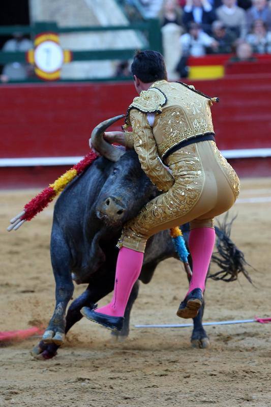 El segundo toro de la tarde de la  primera corrida de la Feria de Fallas de Valencia , llamado el Enterado, abrió el frasco de las emociones fuertes y en un plis plas atrapó de mala manera a Octavio Chacón y le hirió en la bolsa testicular, zona de tan mala prensa en la actualidad como imprescindible para bregar con los toros y hasta con la vida. Aguantó en el ruedo estoico y entero hasta rematar de un estoconazo digno del cincel de Benlliure. Logró un oreja y ovación con saludos en la primera corrida de la Feria de Fallas en Valencia.