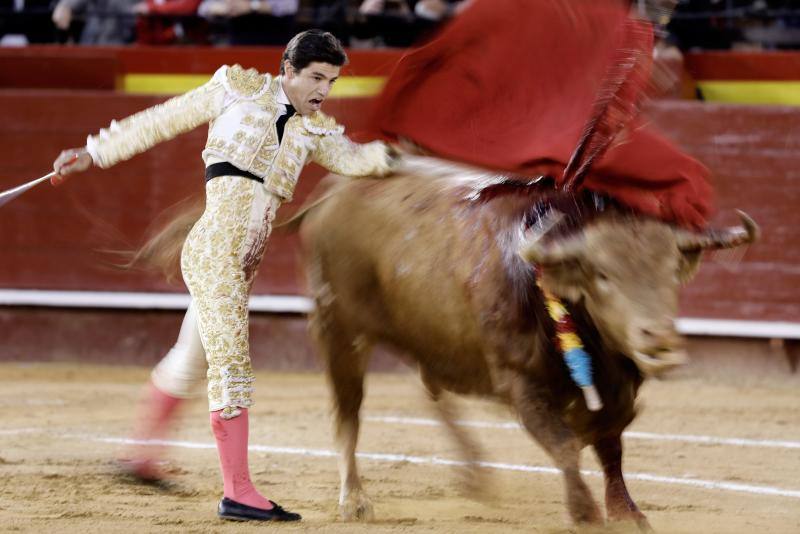 Álvaro Lorenzo , Luis David y Pablo Aguado han lidiado toros de la ganadería de Alcurrucén en la corrida de la Feria de Fallas del miércoles 13 de marzo. Pablo Aguado ha cortado una oreja.