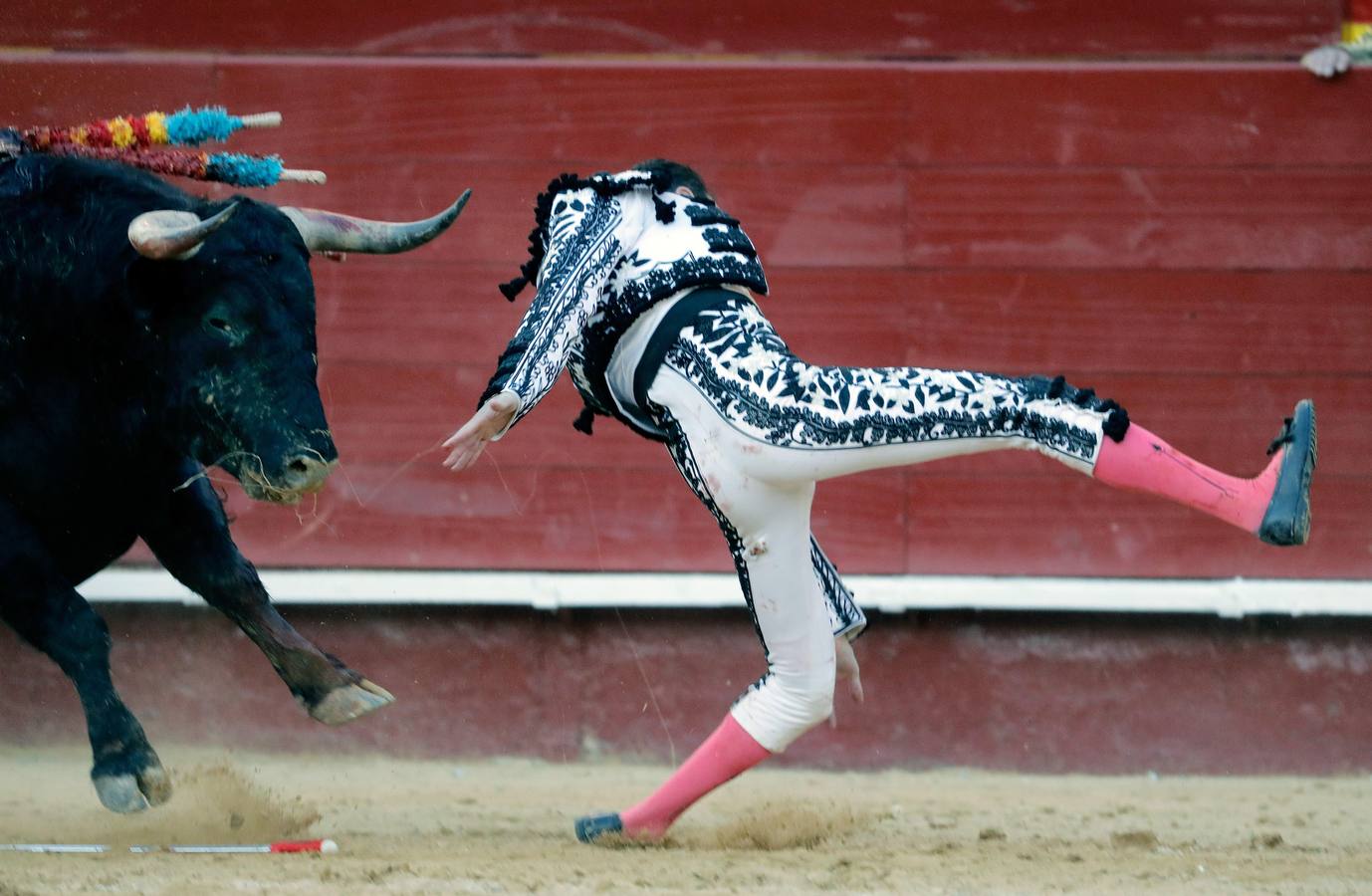 El torero valenciano Enrique Ponce ha sufrido una cogida en la corrida de este lunes, 18 de marzo de 2019, en la Feria de Fallas. Su segundo toro de la tarde, el quinto de la jornada, le ha dado una cornada en la parte posterior del muslo izquierdo, justo debajo de la nalga. En la caída, el diestro de Chiva también se ha lesionado la rodilla izquierda.