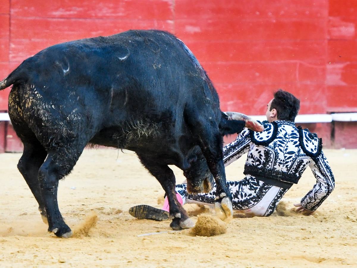 El torero valenciano Enrique Ponce ha sufrido una grave cogida en la corrida de este lunes, 18 de marzo de 2019, en la Feria de Fallas. Su segundo toro de la tarde, el quinto de la jornada, le ha dado una cornada en la parte posterior del muslo izquierdo, justo debajo de la nalga. En la caída, el diestro de Chiva también se ha lesionado la rodilla izquierda y ha tenido que ser hospitalizado, en la Casa de la Salud.