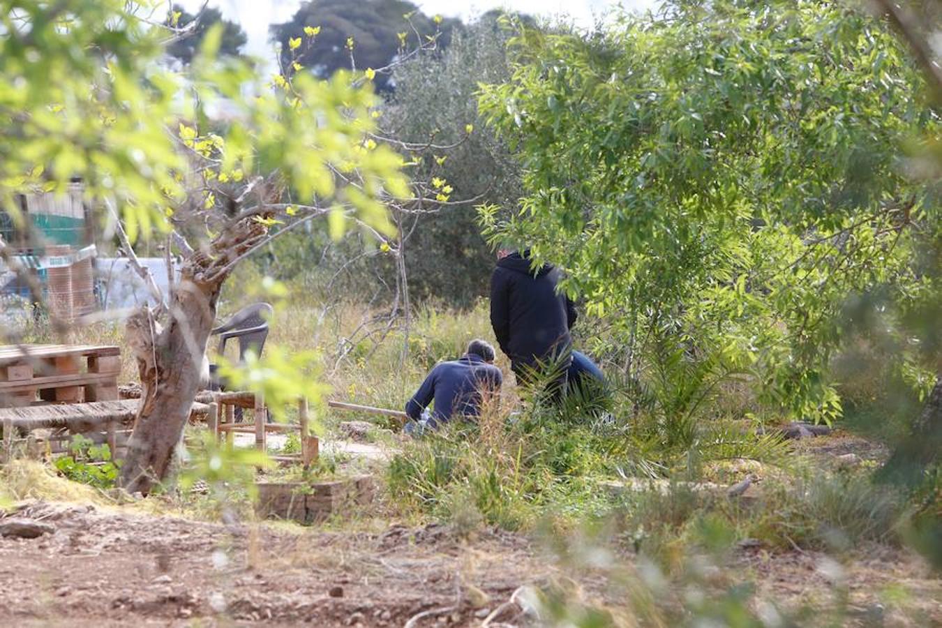 Fotos: Búsqueda del arma homicida del doble crimen de los dos niños de Godella