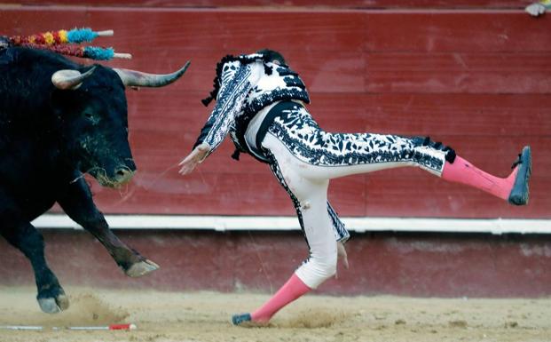 La rodilla de Ponce, en el momento en el que fue volteado por el toro en Valencia