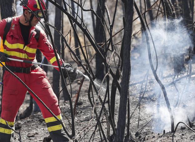 Un bombero sofoca unas llamas en un incendio en La Calderona. 