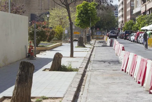 La calle Naturalista Arévalo Baca, con algunos de los árboles talados. 