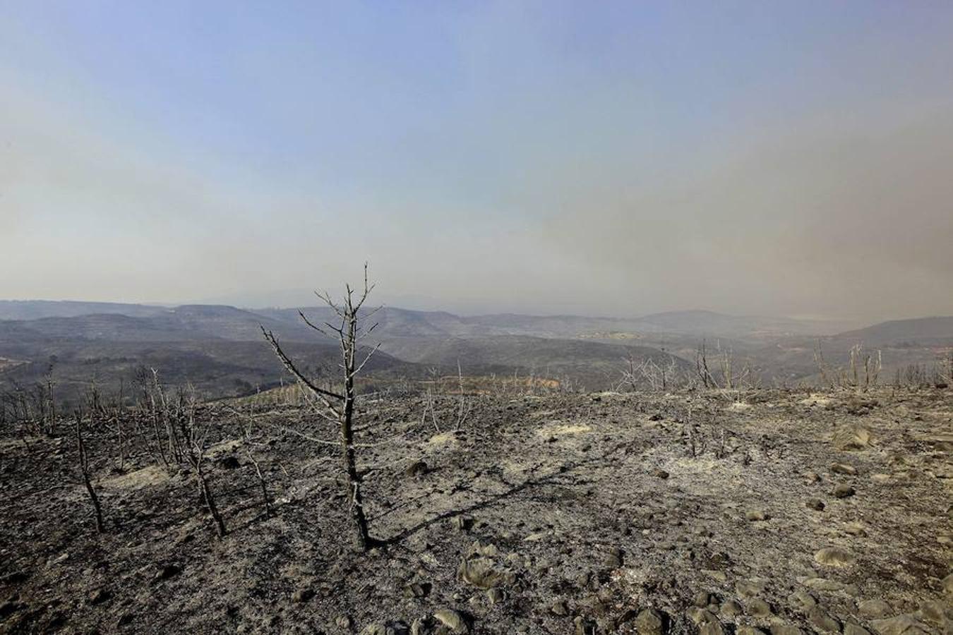 Fotos: Así quedó la localidad de Cortes tras el incendio