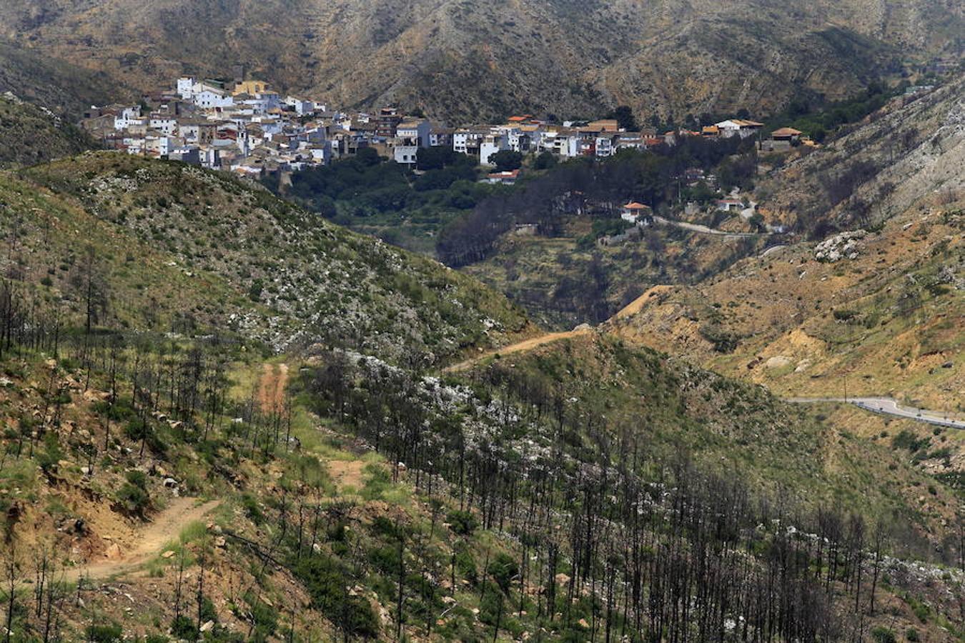 Fotos: Así quedó la localidad de Cortes tras el incendio