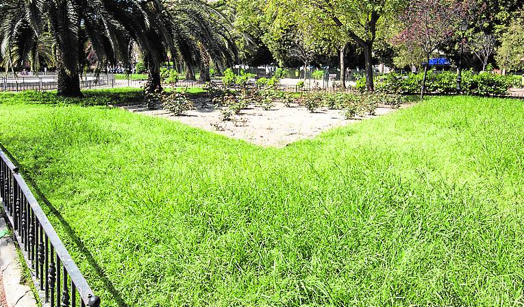 Enrique Granados | La falta de poda o de corte del césped es una constante en muchos parques, como el Enrique Granados.