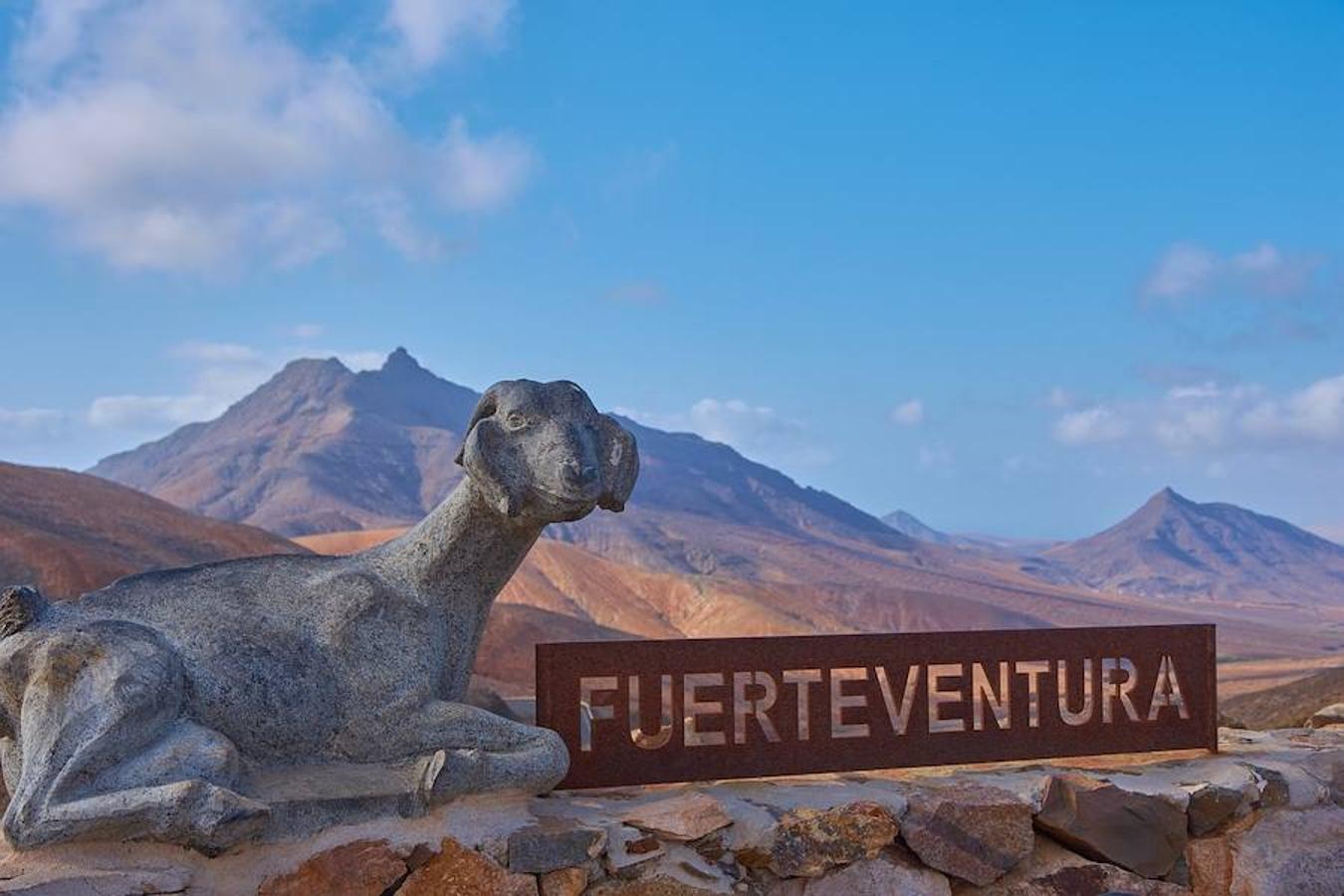 Fuerteventura (Islas Canarias).