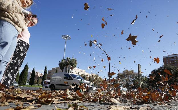 La Comunitat, en alerta por vientos de hasta 70 km/h