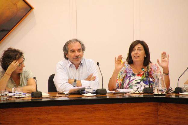 Pepa Font, junto a Miguel Llobell, durante su intervención en un pleno de Dénia. 