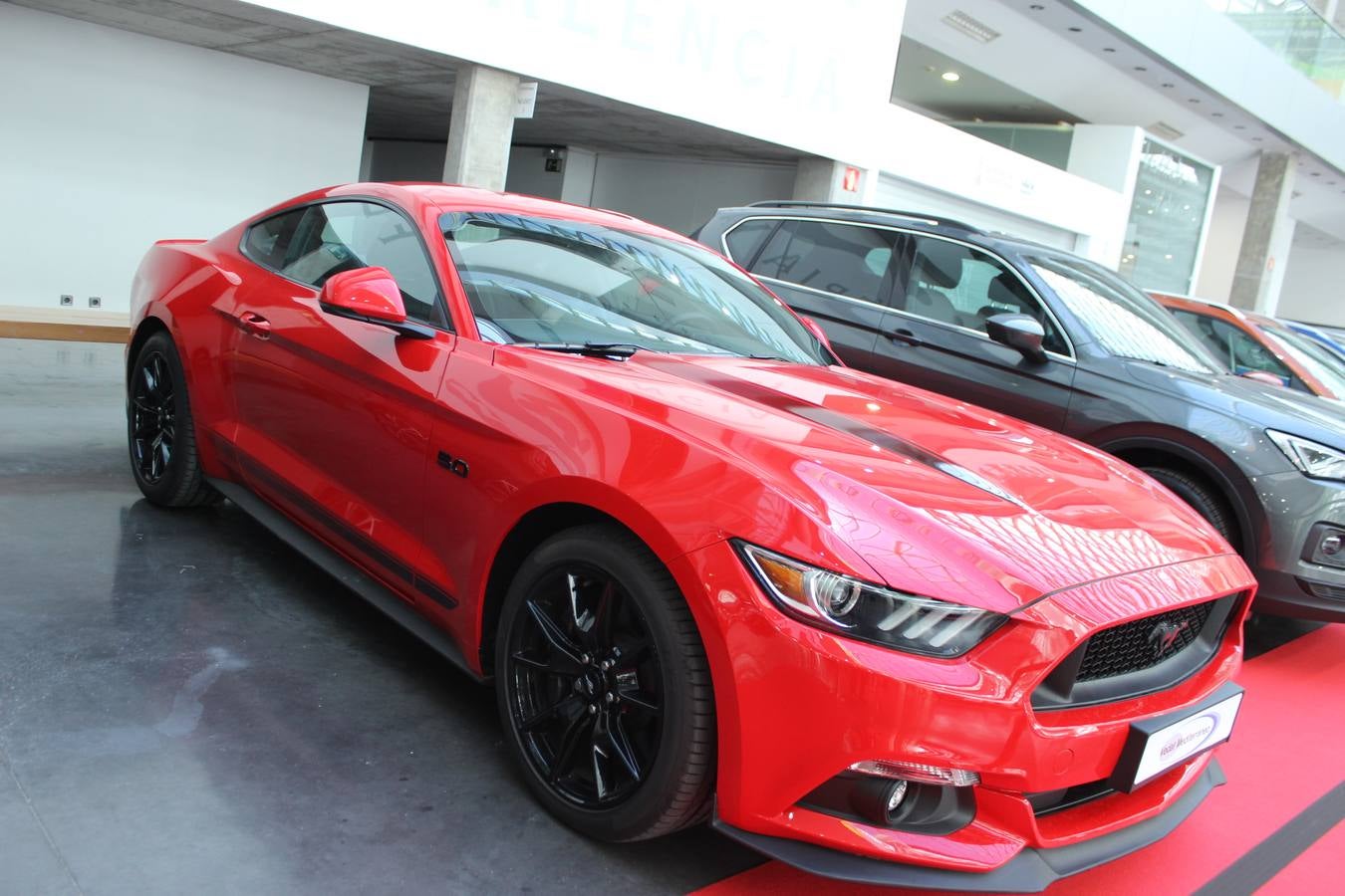 Feria Valencia celebra la 11ª. edición de la 'Feria del Vehículo Selección Ocasión', una cita que reúne hasta el próximo domingo, en el Nivel 3 del recinto ferial a 45 expositores y 26 marcas oficiales. Ofertan unos 1.500 vehículos con grandes descuentos; algunos coches de ocasión rebajados en más de 6.000 euros. 