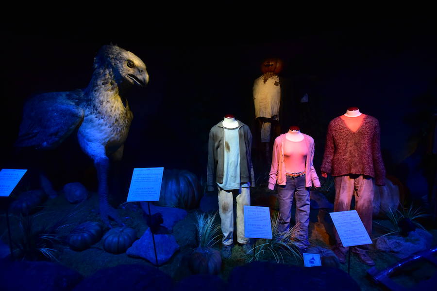 La locura de Harry Potter ya está prácticamente lista para su inauguración. 'Harry Potter: The exhibition' abre sus puertas a los fans del popular mago este sábado. En ella, los asistentes podrán descubrir los escenarios, objetos, personajes y, sobre todo, la magia, que envuelve al mundo creado por la escritora inglesa J. K. Rowling. El universo de Hogwarts estará en el Museo de las Ciencias de Valencia abierto al público hasta el 7 de julio y promete ser todo un éxito.