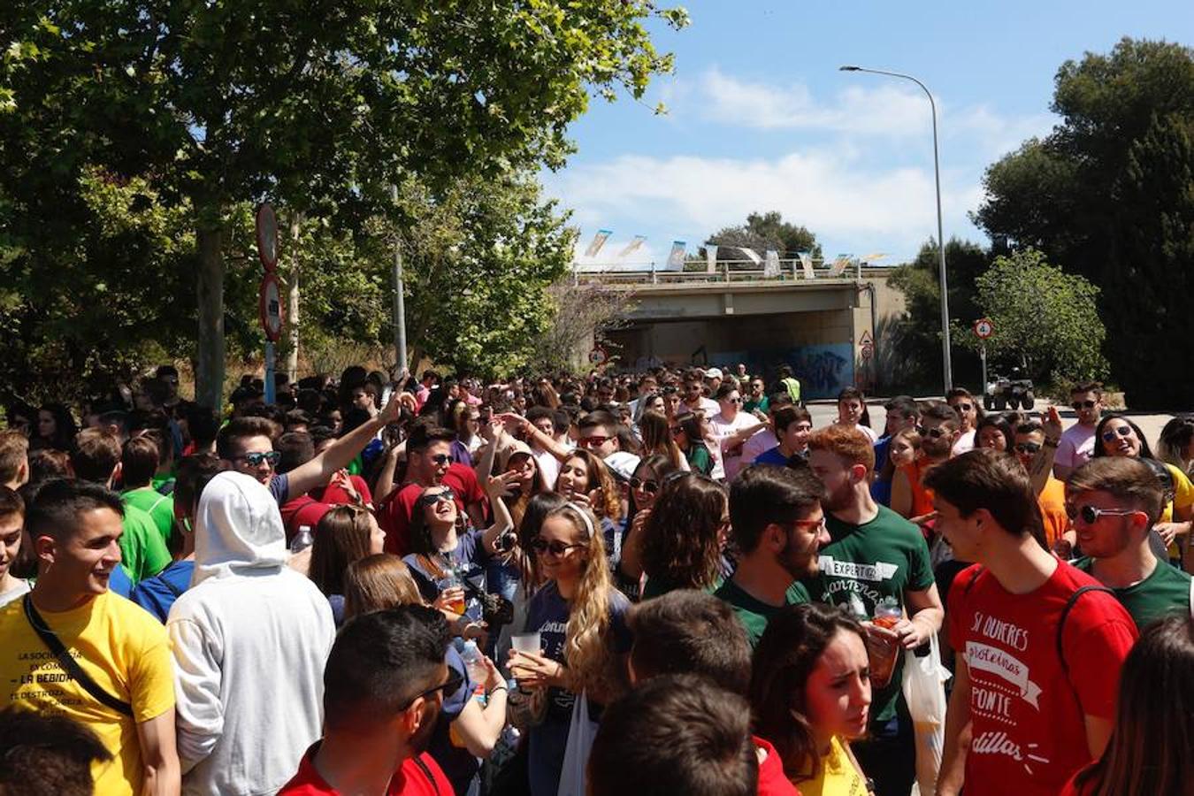 Fotos: Paellas Universitarias 2019 en Valencia