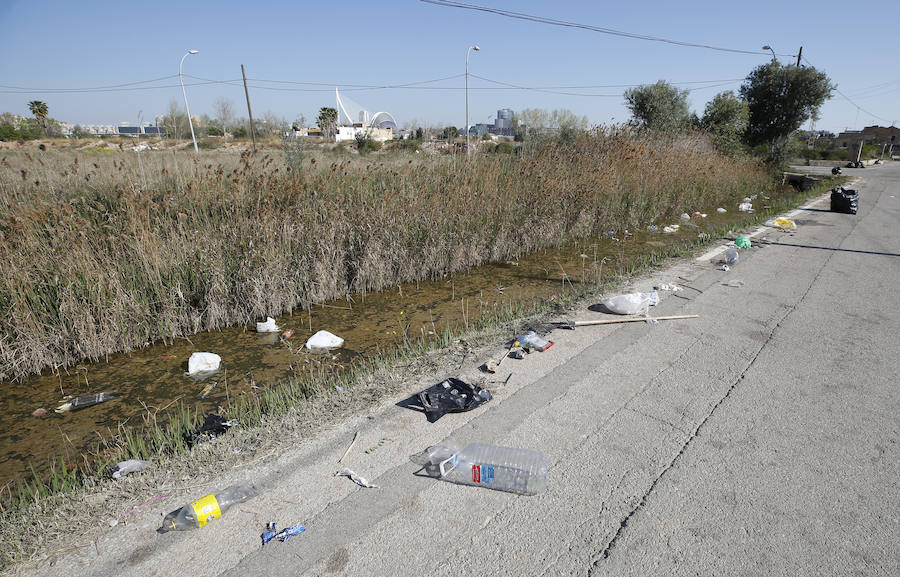 El recinto en el que ayer se congregaron cerca de 20.000 jóvenes ha despertado hoy con miles de botellas y bolsas de plástico en el suelo. Los operarios de la organización trabajaban para retirar toda la cantidad de basura que se extendía a los caminos de acceso al lugar en el que se celebraron las paellas universitarias. Incluso alguna acequia cercana también presentaba botellas y bolsas en sus aguas.