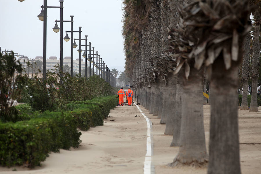 El temporal que ha sufrido la Comunitat esta Semana Santa ha golpeado con fuerza el litoral valenciano. El Marítimo y la playa de la Malvarrosa han soportado fuertes vientos que han empujado la arena, invadiendo el paseo.