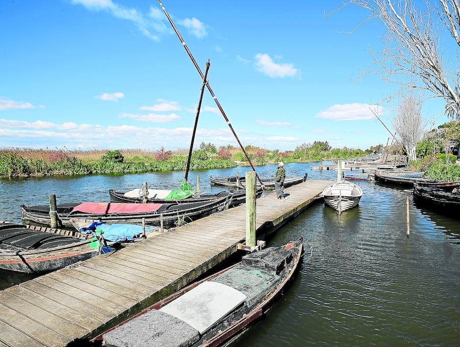 El cartel de la serie 'El Embarcadero' es una fotografía hecha en el Port de Catarroja, donde está el embarcadero con las tradicionales barcas de la Albufera que da nombre a la ficción que se puede ver en Movistar +.