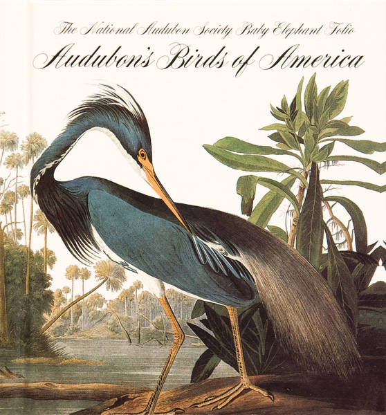 Birds of America: 8.000.000 de euros | El comerciante de arte londinense Michael Tollemache compró esta obra en 2010, de la que sólo se publicaron 120 copias completas entre 1827 y 1838; un total de 435 impresiones distribuidas en cuatro volúmenes. Su autor es el ornitólogo John James Audubon, un conocido naturalista francés nacionalizado en América, y fue él quien pintó a mano y a escala natural cada una de las especies que aparecen. Esta obra maestra guarda entre sus páginas un compendio de más de 200 especies de aves autóctonas de América. 