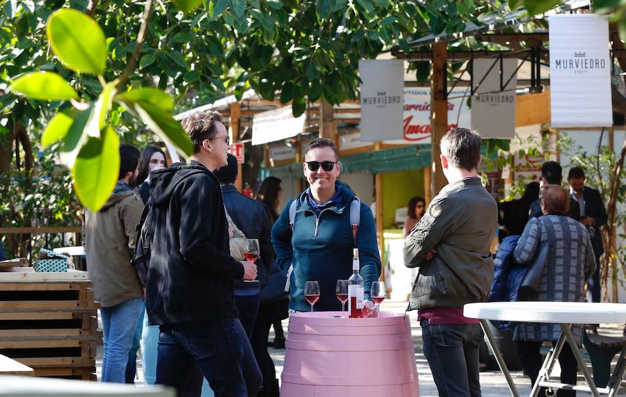 Vuelve la Mostra de Cavas y Vinos con su 31 edición, que estará disponible un año más en el Jardín del Turia hasta el próximo lunes 29 de abril, entre los puentes de Exposición y las Flores. La muestra premiará los mejores vinos y aceites de la Comunitat y ambientará la ciudad ofreciendo a los asistentes vinos, cavas, licores y otros productos gastronómicos como embutidos, aceites, quesos, dulces o alimentos de panadería. Además, también se podrán degustar arroces y disfrutar de un animado entorno con actuaciones musicales mientras saboreas las mejores copas. 