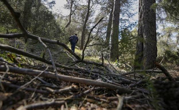 Parajes naturales con riesgo de incendio forestal. 