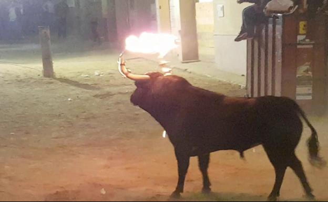 Programa de bous al carrer del fin de semana del 30 y 31 de agosto en Valencia, Alicante y Castellón