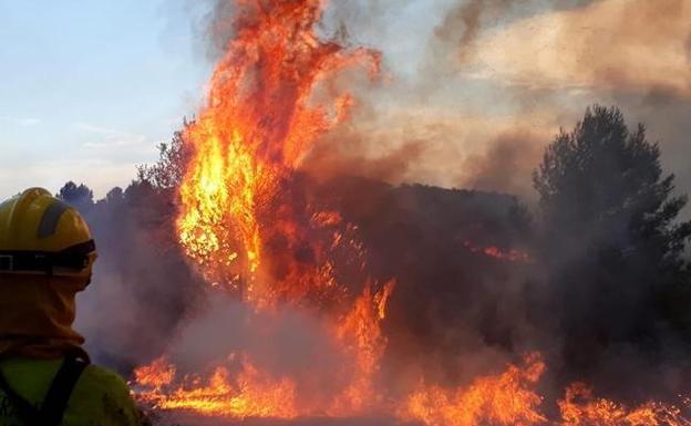 El Consell destina 933.900 euros para paliar los daños del incendio de Llutxent de 2018