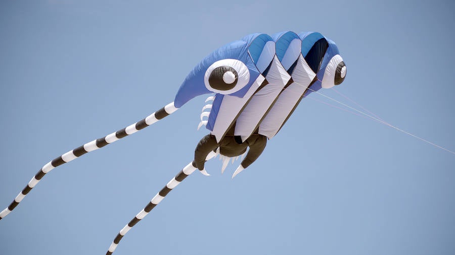 Todo tipo de animales, formas, figuras y banderas ha sobre volado el cielo de Valencia en el XXI Festival de Milotxes que se ha celebrado este fin de semana en la playa del Cabanyal. Alrededor de 100 participantes provenientes de Alemania, Chile y Argentina, junto a los pilotos valencianos y del resto de España, han competido en las modalidades de exhibición de vuelo acrobático individual, vuelo acrobático en equipo, y mejor cometa estática de construcción propia.