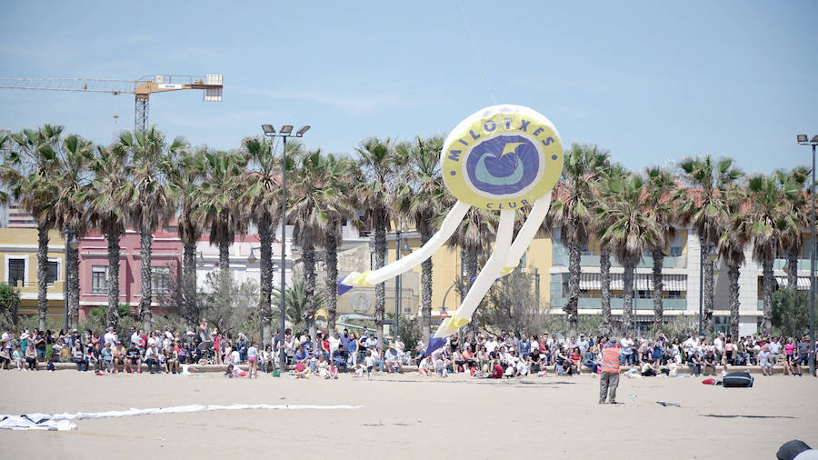 Todo tipo de animales, formas, figuras y banderas ha sobre volado el cielo de Valencia en el XXI Festival de Milotxes que se ha celebrado este fin de semana en la playa del Cabanyal. Alrededor de 100 participantes provenientes de Alemania, Chile y Argentina, junto a los pilotos valencianos y del resto de España, han competido en las modalidades de exhibición de vuelo acrobático individual, vuelo acrobático en equipo, y mejor cometa estática de construcción propia.