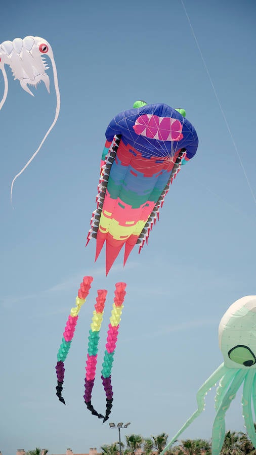 Todo tipo de animales, formas, figuras y banderas ha sobre volado el cielo de Valencia en el XXI Festival de Milotxes que se ha celebrado este fin de semana en la playa del Cabanyal. Alrededor de 100 participantes provenientes de Alemania, Chile y Argentina, junto a los pilotos valencianos y del resto de España, han competido en las modalidades de exhibición de vuelo acrobático individual, vuelo acrobático en equipo, y mejor cometa estática de construcción propia.