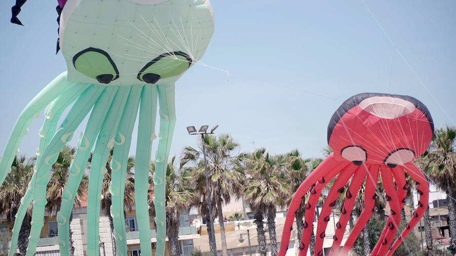 Todo tipo de animales, formas, figuras y banderas ha sobre volado el cielo de Valencia en el XXI Festival de Milotxes que se ha celebrado este fin de semana en la playa del Cabanyal. Alrededor de 100 participantes provenientes de Alemania, Chile y Argentina, junto a los pilotos valencianos y del resto de España, han competido en las modalidades de exhibición de vuelo acrobático individual, vuelo acrobático en equipo, y mejor cometa estática de construcción propia.