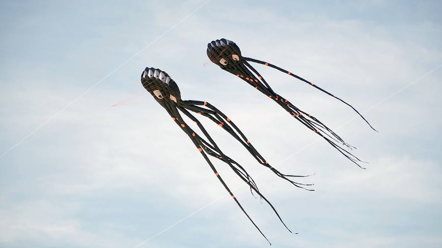Todo tipo de animales, formas, figuras y banderas ha sobre volado el cielo de Valencia en el XXI Festival de Milotxes que se ha celebrado este fin de semana en la playa del Cabanyal. Alrededor de 100 participantes provenientes de Alemania, Chile y Argentina, junto a los pilotos valencianos y del resto de España, han competido en las modalidades de exhibición de vuelo acrobático individual, vuelo acrobático en equipo, y mejor cometa estática de construcción propia.