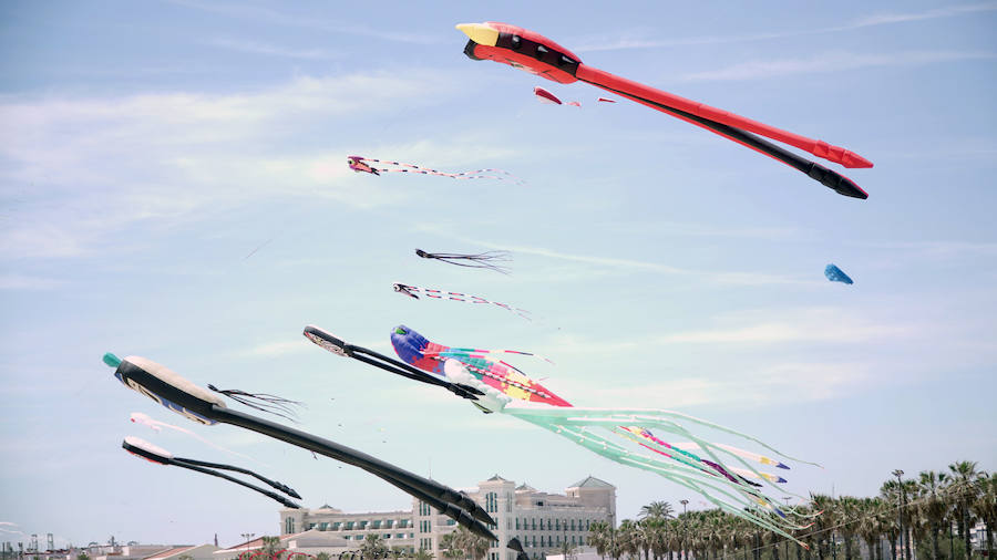 Todo tipo de animales, formas, figuras y banderas ha sobre volado el cielo de Valencia en el XXI Festival de Milotxes que se ha celebrado este fin de semana en la playa del Cabanyal. Alrededor de 100 participantes provenientes de Alemania, Chile y Argentina, junto a los pilotos valencianos y del resto de España, han competido en las modalidades de exhibición de vuelo acrobático individual, vuelo acrobático en equipo, y mejor cometa estática de construcción propia.