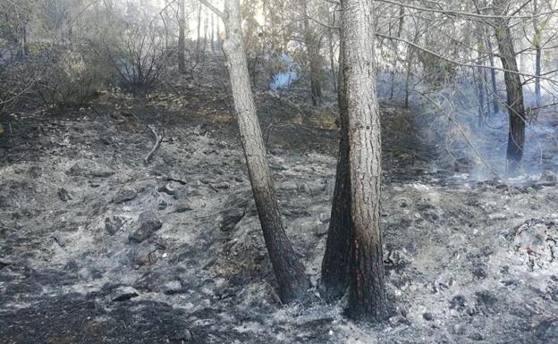 Los bomberos consiguen controlar el incendio que amenazaba una zona boscosa en Xàbia 