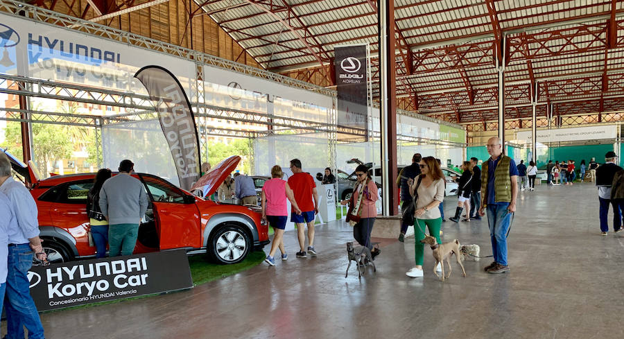 Éxito rotundo de la Feria ECOMOV. Miles de personas se han acercado a La Marina de Valencia para conocer las últimas novedades en eco-movilidad: coches, motos y bicicletas eléctricas. Del viernes 17 al domingo 19 de mayo, se han realizado cientos de pruebas para dar a conocer al público la realidad de los nuevos vehículos ecológicos.