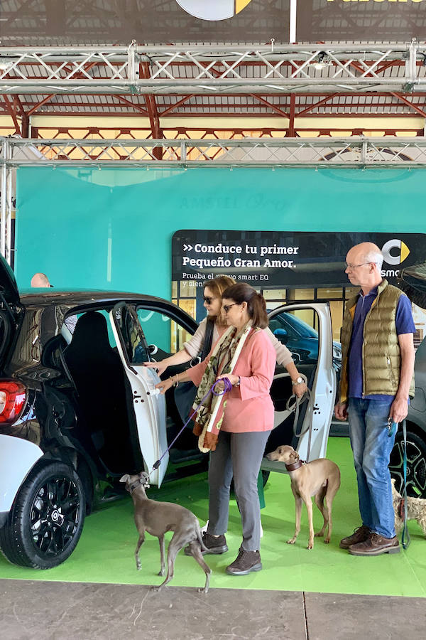 Éxito rotundo de la Feria ECOMOV. Miles de personas se han acercado a La Marina de Valencia para conocer las últimas novedades en eco-movilidad: coches, motos y bicicletas eléctricas. Del viernes 17 al domingo 19 de mayo, se han realizado cientos de pruebas para dar a conocer al público la realidad de los nuevos vehículos ecológicos.