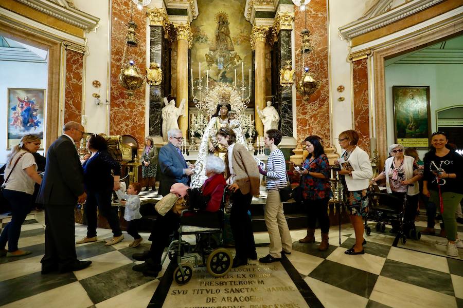 La Basílica de la Virgen de los Desamparados ha abierto sus puertas a las 7 horas de este miércoles para el tradicional Besamanos a la patrona de Valencia, cuando ya cientos de valencianos esperaban en la plaza de la Virgen, algunos de ellos doce horas, desde las siete de la tarde del martes