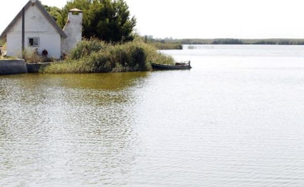 El pez mosquito amenaza al samaruc valenciano. 