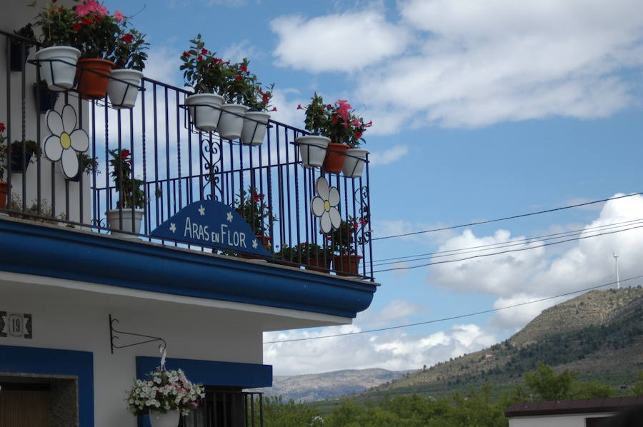 Los aromas y colores de las flores se han adueñado de Aras de los Olmos (Valencia). Durante la primavera, esta localidad situada Los Serranos cubre sus calles, fachadas con cientos de plantas y arte efímero. La exposición de las propuestas presentadas en «Aras en flor» se podrá visitar hasta el 30 de junio Los diseñadores de paisajes han tenido que defender la sostenibilidad, belleza y creatividad de la propuesta. Además de combinar flores y plantas con materiales del entorno utilizados históricamente por los vecinos y vecinas. Esta pequeña localidad del interior de la Comunitat Valenciana aguarda entre montes como un remanso de paz que fue poblado por íberos, romanos y árabes, Incluso, formó parte de la Orden de Montesa en 1318. Y todas estas culturas se han quedado guardadas entre sus callejuelas. 