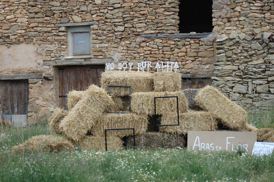 Los aromas y colores de las flores se han adueñado de Aras de los Olmos (Valencia). Durante la primavera, esta localidad situada Los Serranos cubre sus calles, fachadas con cientos de plantas y arte efímero. La exposición de las propuestas presentadas en «Aras en flor» se podrá visitar hasta el 30 de junio Los diseñadores de paisajes han tenido que defender la sostenibilidad, belleza y creatividad de la propuesta. Además de combinar flores y plantas con materiales del entorno utilizados históricamente por los vecinos y vecinas. Esta pequeña localidad del interior de la Comunitat Valenciana aguarda entre montes como un remanso de paz que fue poblado por íberos, romanos y árabes, Incluso, formó parte de la Orden de Montesa en 1318. Y todas estas culturas se han quedado guardadas entre sus callejuelas. 