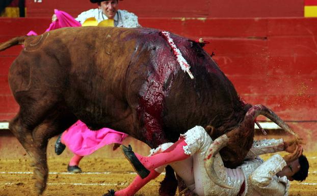 La Universitat de València lanza el primer postgrado en asistencia médico-quirúrgica a las cornadas de toro