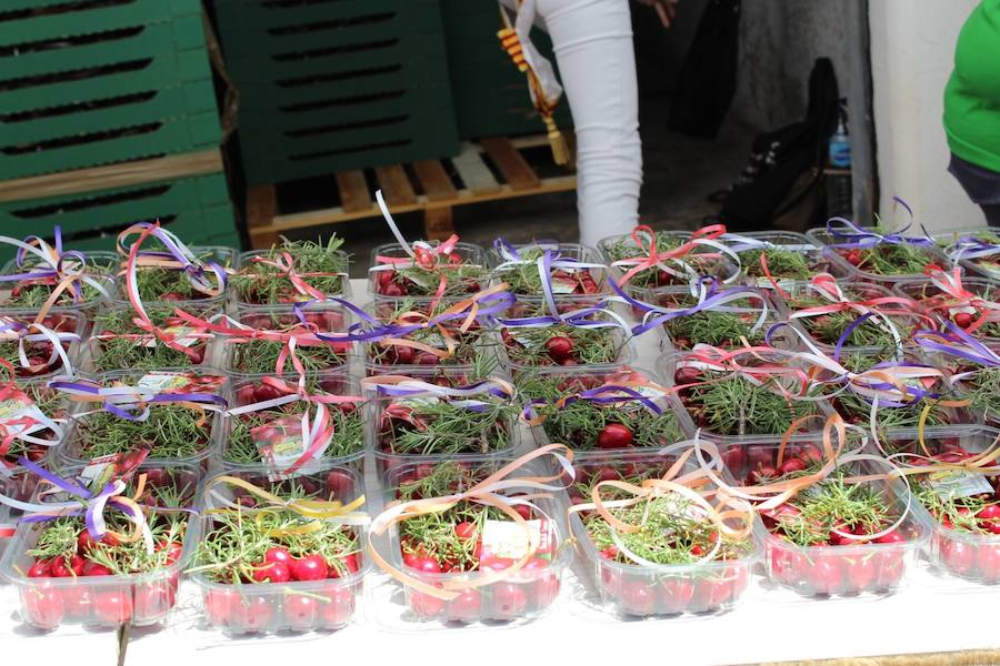 El municipio situado en pleno corazón de la Sierra Calderona ha festejado hoy la jornada que dedica a su fruto más típico. Para tal ocasión, que llega a la edición número 49, se han repartido miles de bandejas de forma gratuita para que los visitantes puedan degustar las cerezas de la zona. El Día de la Cereza se enmarca dentro de la Feria de la Calderona, una celebración que tiene lugar durante todo el fin de semana con actos y eventos de todo tipo en las calles de este municipio situado junto a l'Oronet.