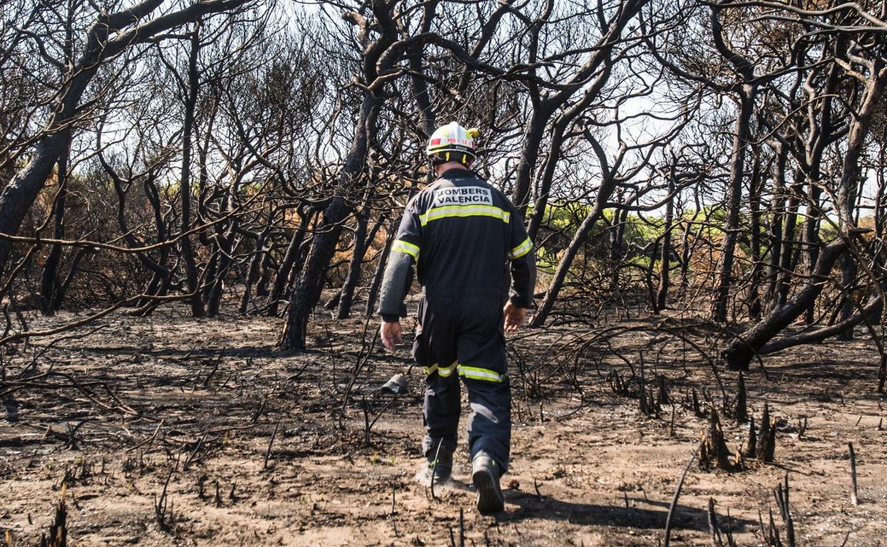 Un bombero camina por una zona incendiada de El Saler, en Valencia, uno de los 54 municipios advertidos por la Fiscalía. 