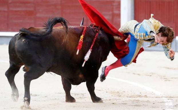 Cogida del diestro valenciano en Las Ventas.