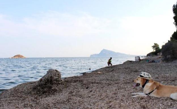 Playa Mar y Montaña